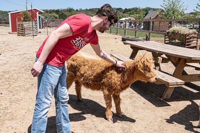 Fredericksburg Safari Tour Without Wine Tasting - Authentic Experiences and Guest Feedback