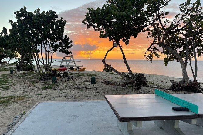 Frederiksted Moke Tour - The Value of This Experience