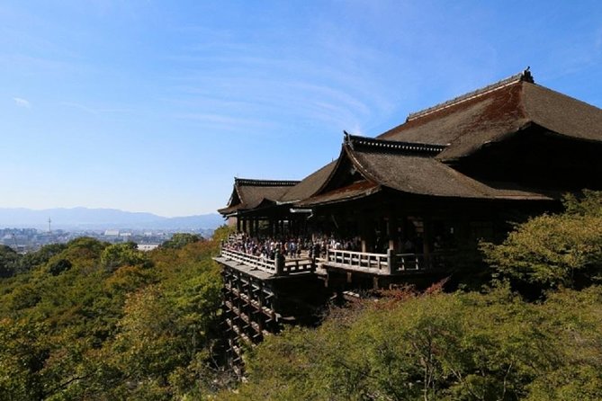 Free Choice of Itineraries Kyoto Private Tour - Additional Information