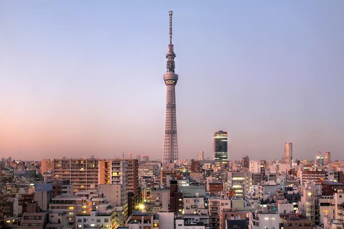 Free Choice of Itineraries Tokyo Private Tour - Tour Highlights