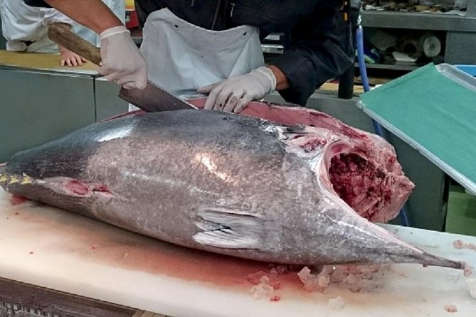 Free Choice of Itineraries Tokyo Private Tour - Customer Reviews and Testimonials