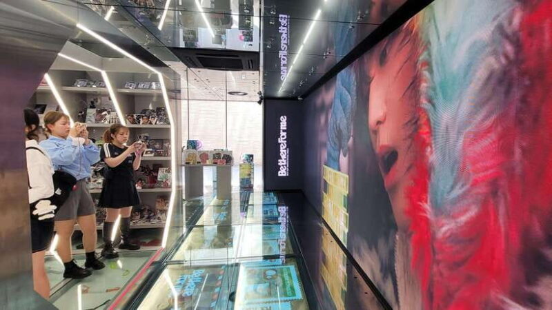 Free day in private Seoul with English-speaking guide - Final Thoughts