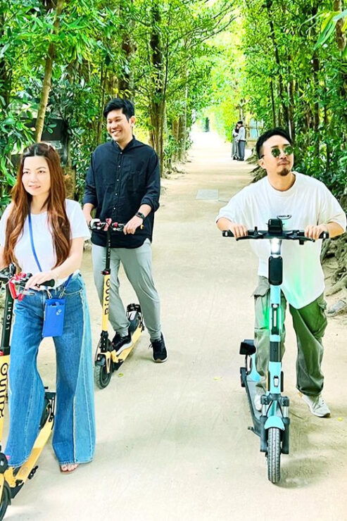 Free Delivery to Hotel : E-Scooter Rent/No License Required - Usage and Flexibility