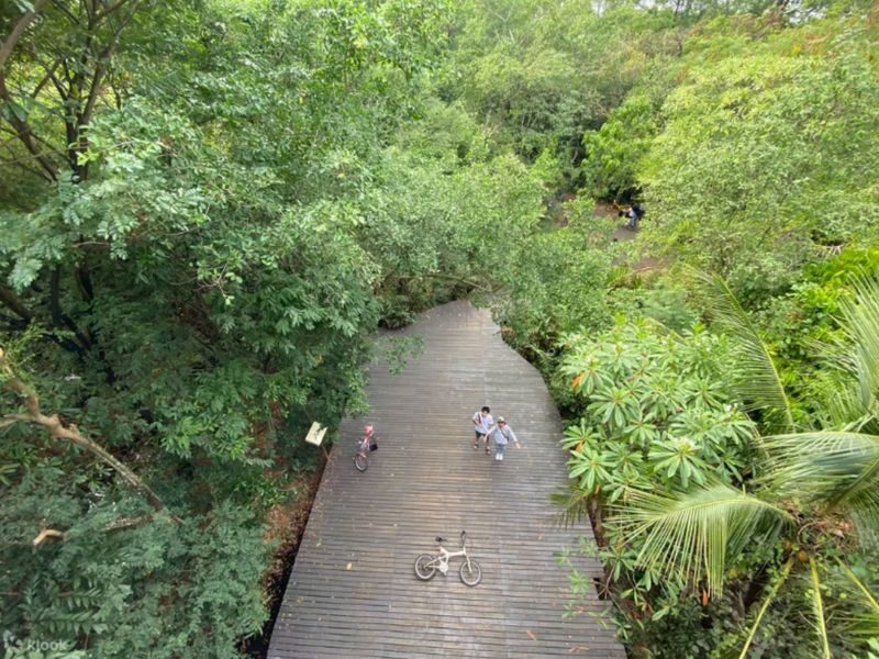 (Free eSIM) Bang Kachao bike & nature Tour in Bangkok - Why Bang Kachao feels far from Bangkok
