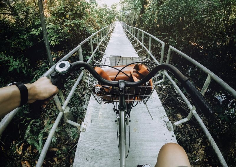 (Free eSIM) Bang Kachao bike & nature Tour in Bangkok - How the price compares with the day out