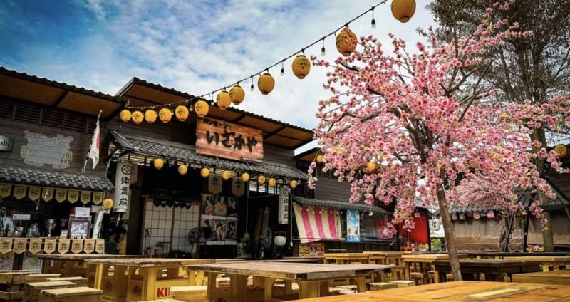 Free eSIM Bangsaen hidden Japanese Style(Airplane Cafe, Fish Market) - A Japan-inspired day out in Bangsaen