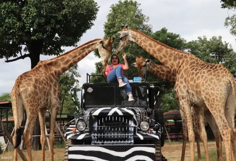(Free eSIM) New Zoo in Ayuthaya & Must-See Temples & Thai Costume - The best reasons to consider this day trip