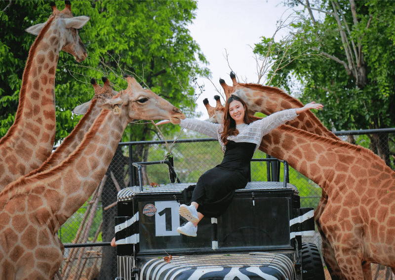(Free eSIM) New Zoo in Ayuthaya & Must-See Temples & Thai Costume - Lunch: a break, but not part of the package
