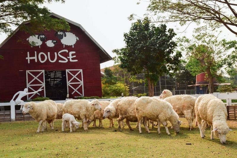 (Free eSIM) Pattaya Instagram Must-Visit Day Tour from Bangkok - House of Benedict’s indoor photo settings
