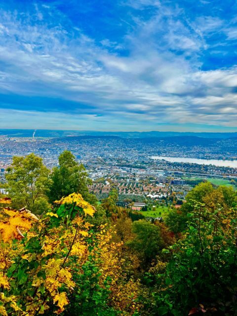FREE PHOTO in Zurich walk cable car panoramic lake Zurich - Practical Details & Cost Analysis