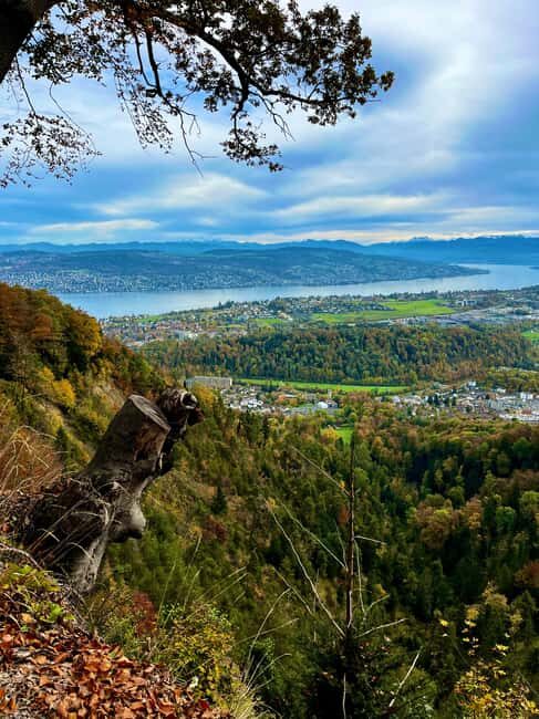 FREE PHOTO in Zurich walk cable car panoramic lake Zurich - Who Will Love This Tour?
