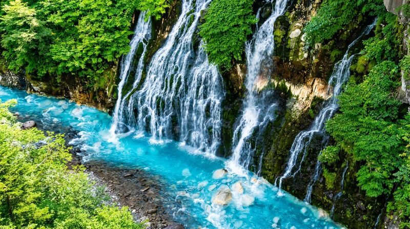 Free Shikisai-no-Oka Flower Viewing Ticket + Flower Field Tractor Tour: Hokkaido Biei Furano Flower Fields, Patchwork Road (drive-by), Seven Star Tree, Shirogane Blue Pond, Shirasu Falls, Shikisai-no-Oka, Farm Tomita (departing from Sapporo) - Shikisai-no-Oka’s flower fields and tractor option