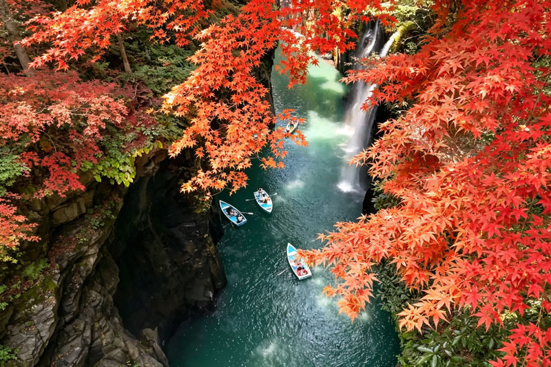 (Free specialty burger) Kyushu Fukuoka Takachiho Gorge and Small Train Day Tour, optional boat ride experience - A nature-focused day beyond Fukuoka