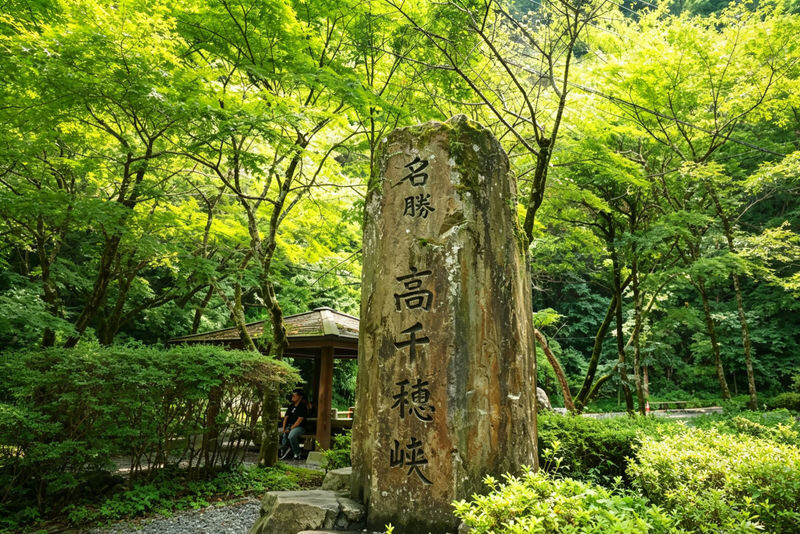 (Free specialty burger) Kyushu Fukuoka Takachiho Gorge and Small Train Day Tour, optional boat ride experience - Should you book it?
