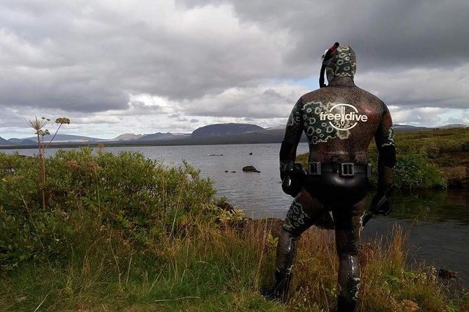 Freedive Silfra Day Tour - Pricing and Booking