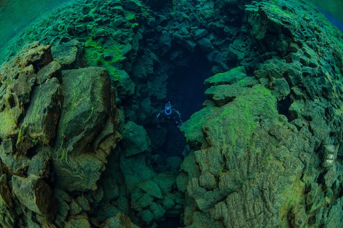 Freedive Silfra Day Tour - Cancellation Policy