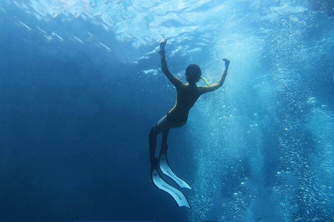 Freedive Trip Koh Kood or Koh Rang National Park ( Start at Ko Kut) - Recommended Health Conditions