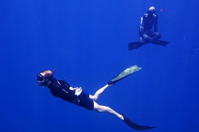 Freediver Advanced (Start at Koh Chang) - Safety Measures for Advanced Freedivers