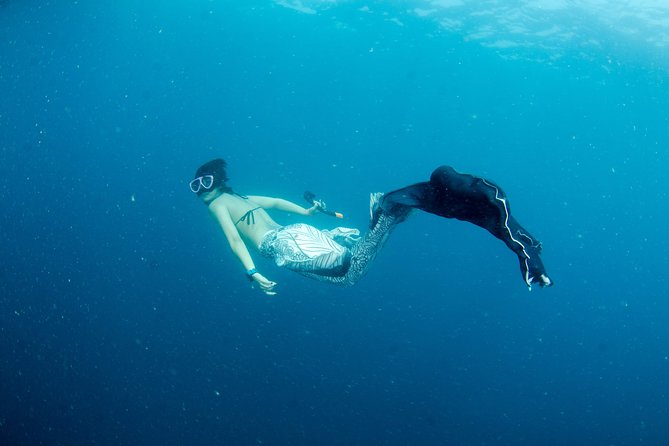 Freediver Advanced (Start at Koh Chang) - Common Questions