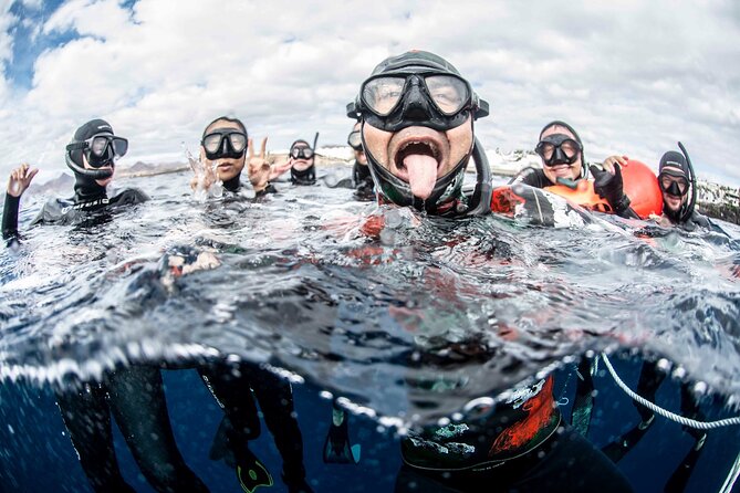 Freediving Courses - Types of Freediving Courses Available