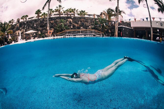 Freediving Courses - Choosing the Right Freediving Course