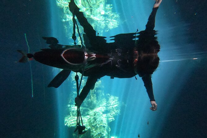 Freediving Discovery Day in Tulum! - What to Expect