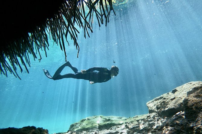 Freediving Discovery Day in Tulum! - Pricing
