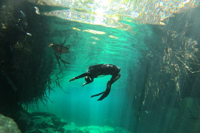 Freediving Discovery Day in Tulum! - Common Questions