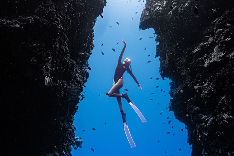 Freediving Tour at Napaling Reef and the Sardines - What to know before you book
