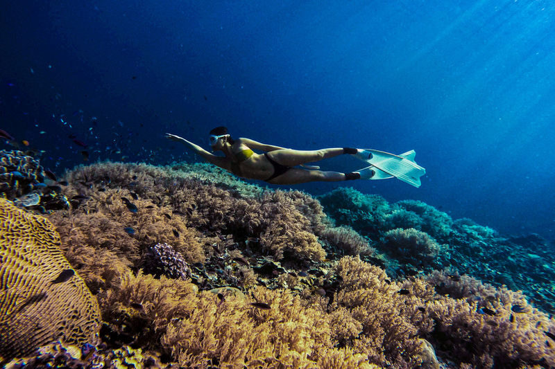 Freediving Tour at Napaling Reef and the Sardines - A reef wall, a moving shoal and one short session