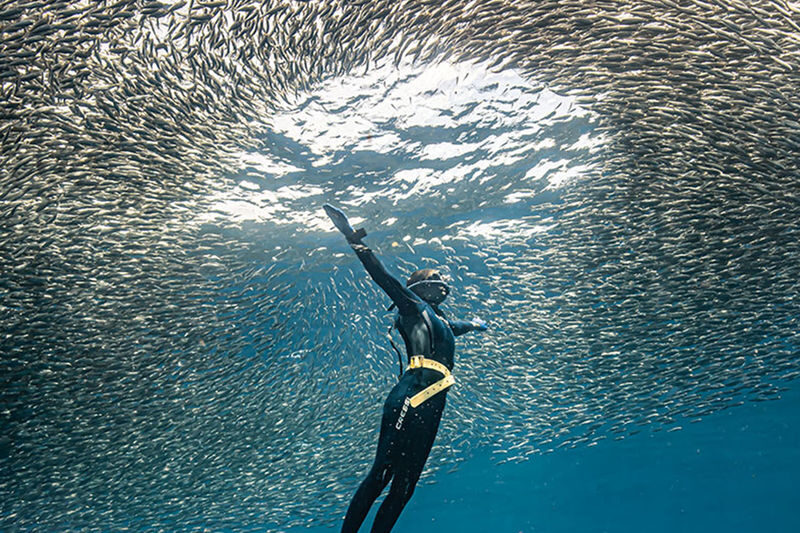 Freediving Tour at Napaling Reef and the Sardines - What happens during the hour