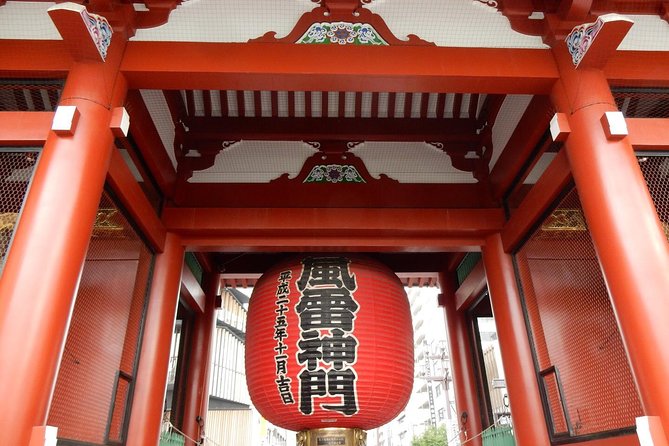 Freely Set up Plans Guided Private Tours in Tokyo - Tour Pricing and Options