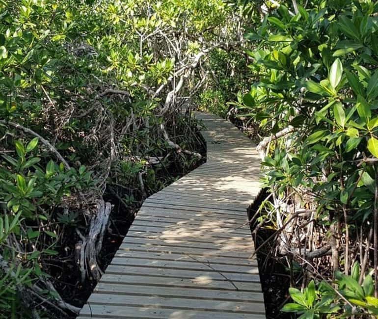 Freeport: Grand Bahama Culture, History & Local Flavors Tour - Tasting the Flavors of the Bahamas