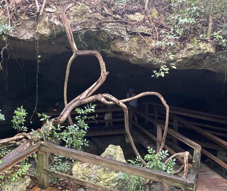 Freeport: Grand Bahama Culture, History & Local Flavors Tour - Engaging with Local Artisans and Traditions