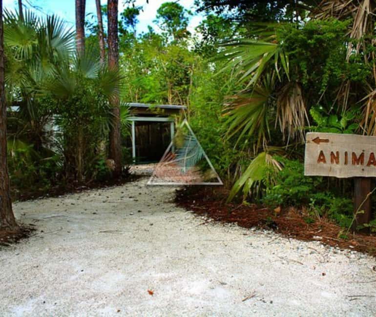 Freeport: Grand Bahama Culture, History & Local Flavors Tour - Final Thoughts