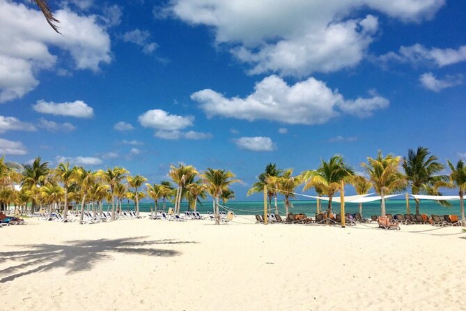 Freeport Shore Excursion: All-Inclusive Viva Wyndham Fortuna Beach Resort Pass - Logistics