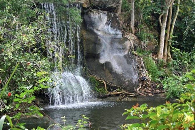 Freeport Shore Excursion: Garden of the Groves and City Tour - Good To Know
