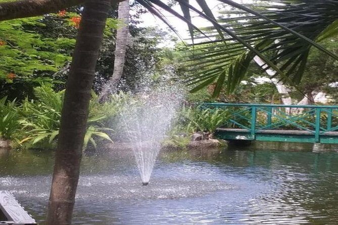 Freeport Shore Excursion: Garden of the Groves and City Tour - Detailed Review of the Tour Experience