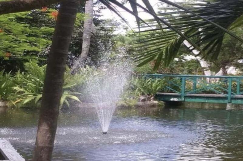 Freeport Shore Excursion: Garden of the Groves and City Tour - A Detailed Look at the Tour Experience  