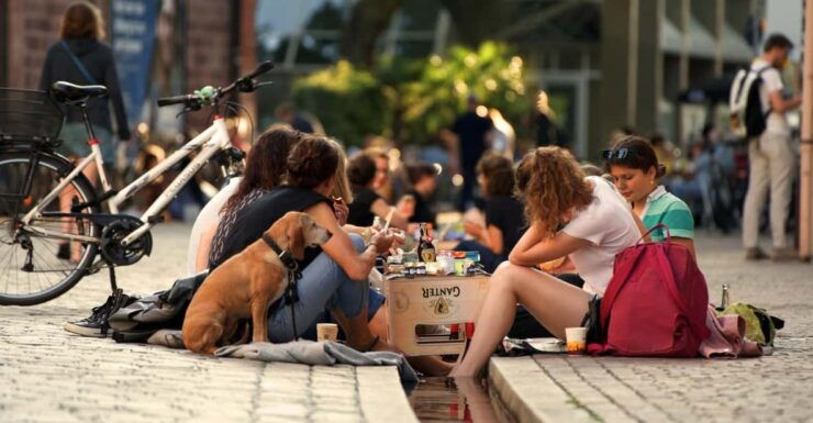 Freiburg: Bächle Picnic for 2 People (Vegetarian) - Key Points