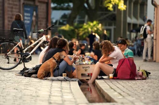 Freiburg: Bächle Picnic for 2 People (Vegetarian) - Booking and Payment Options