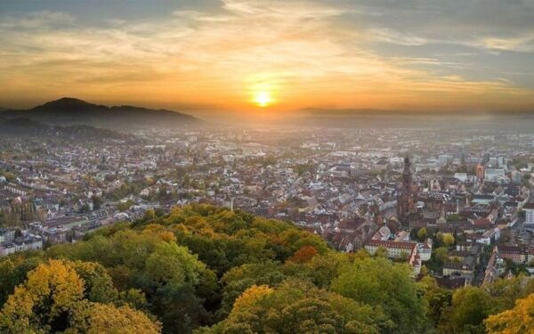 Freiburg: Bus Transfer From/To Basel Euro Airport - Questions You May Have