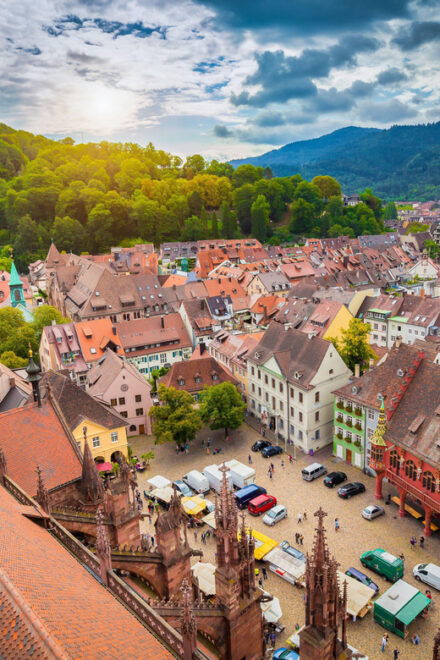 Freiburg: Exciting City Tour With Sightseeing and History - Customer Feedback and Ratings