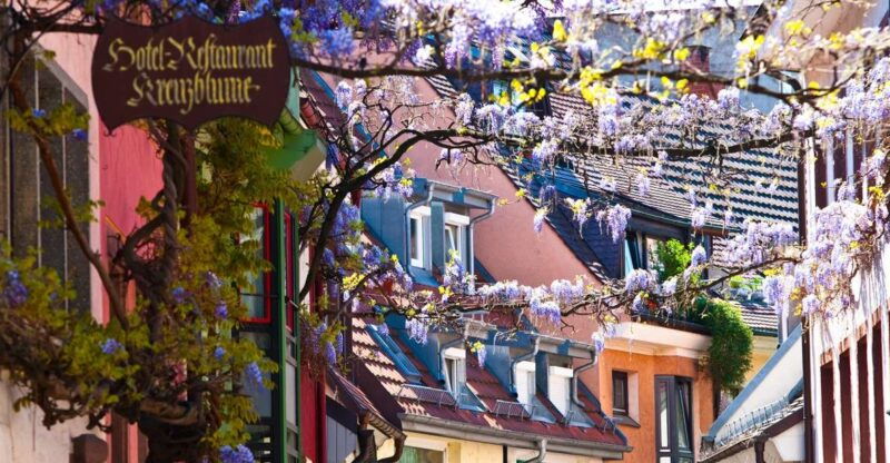 Freiburg: Gässle, Bächle and More City Tour - What You Get and What You Don’t