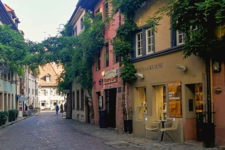 Freiburg: Gässle, Bächle and More City Tour - FAQ