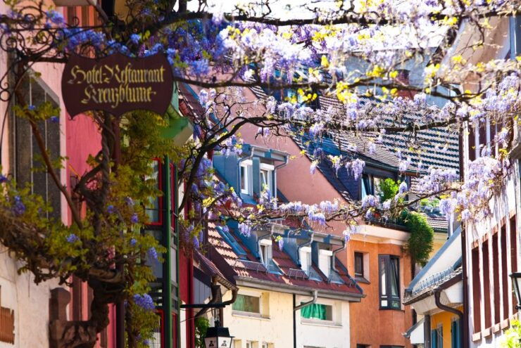 Freiburg: Gässle, Bächle and More City Tour - Important Sights in Freiburgs Old Town