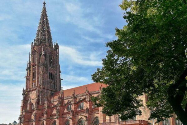 Freiburg: Gässle, Bächle and More City Tour - Walking Tour With a German-Speaking Guide