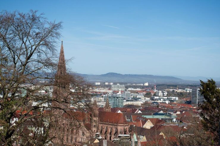 Freiburg: Historic City Center Walking Tour - Tour Highlights