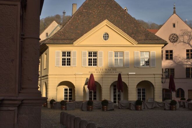 Freiburg: Historic City Center Walking Tour - Discovering Impressive Buildings