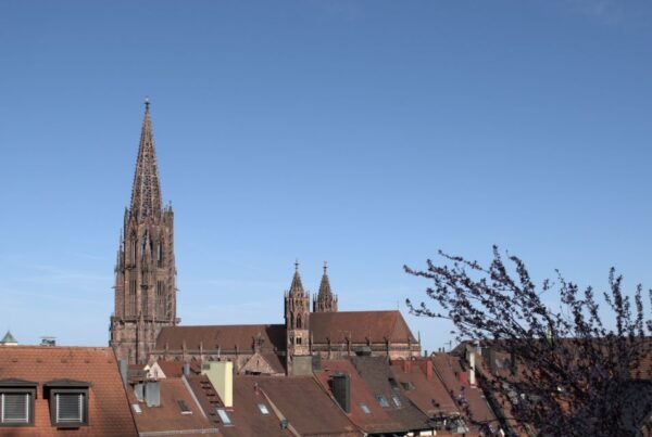 Freiburg: Historic City Center Walking Tour - Unraveling Freiburgs History